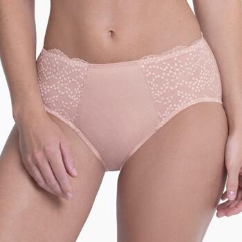 Anita Orely Rosewood Brief