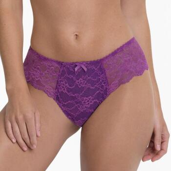 Rosa Faia Bobette Magic Purple Short