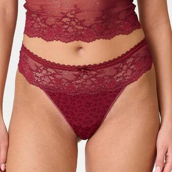 LingaDore Daily Basic Ruby Thong