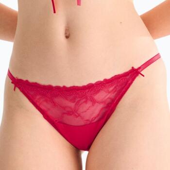 Lisca Sugarlace Cherry Crimson Brief