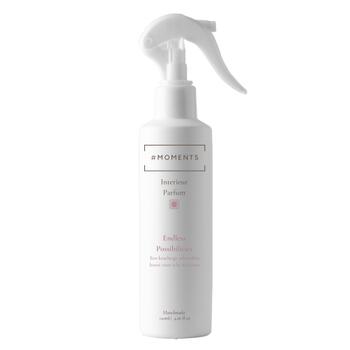 Endless Possibilities Roomspray