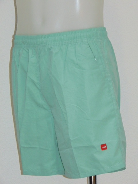 Shiwi Men's Basic mint swimshort