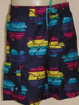 Shiwi Men's lotus navy blue swimshort
