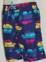 Shiwi Men's lotus navy blue swimshort