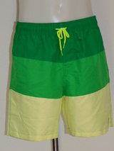 Shiwi Men's Complexion green swimshort