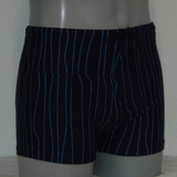 Shiwi Men's pinstripe navy blue swim boxer