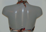 Royal Lounge Playa brown padded bikini bra