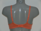 Marlies Dekkers Space Odyssey indian camellia push up bra