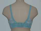After Eden D-Cup & Up Salena green padded bra