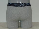 Shiwi Men's Palm grey boxer short