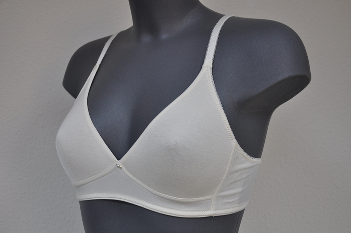 Eva Silk ivory wireless bra