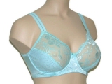 Elbrina Johanna mint non-padded bra