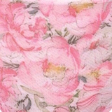 Anita Maternity Miss Rose pink/print maternity brief
