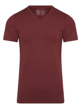 RJ Bodywear Men Pure Color  port shirt