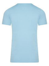 RJ Bodywear Men Pure Color  baby blue shirt