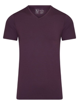 RJ Bodywear Men Pure Color  auberinge shirt