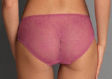 Rosa Faia Fleur cyclamen pink brief