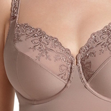 Rosa Faia Scarlett antique rose body