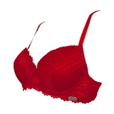 Dream Avenue Central Park red padded bra