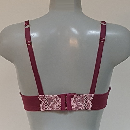 Sapph Rose Bertin pink padded bra