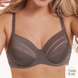 Lisca Alegra mole grey non-padded bra