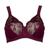 Elbrina Johanna bordeaux non-padded bra
