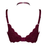 After Eden D-Cup & Up Granada magenta padded bra