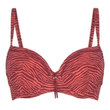 LingaDore Beach Bright Zebra animal print padded bikini bra
