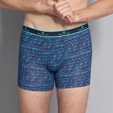Tom Tailor Palm Leaves navy/print boxer short