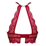 After Eden Daimy pink push up bra