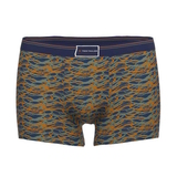 Tom Tailor Blue/Green All over  blue/print sport boxershort