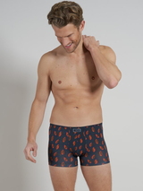 Tom Tailor Autumn grey/orange sport boxershort