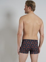 Tom Tailor Autumn grey/orange sport boxershort
