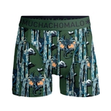Muchachomalo Chasing Waterfalls green/print boxer short
