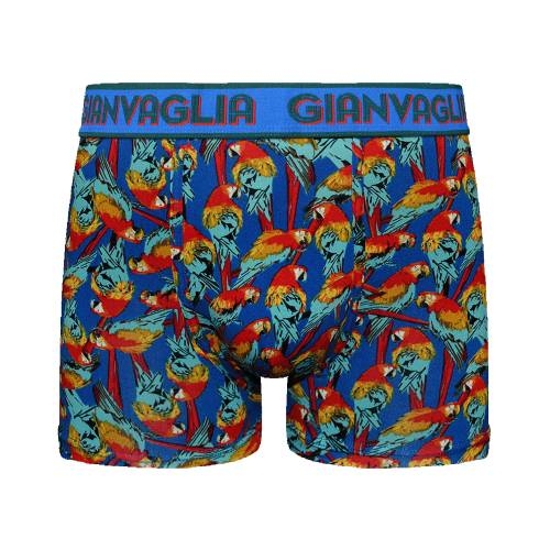 Gianvaglia Parrot blue/print boxer short
