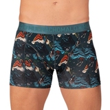 Muchachomalo Birds green/print modal boxershort