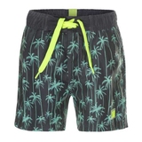  DJ DutchJeans Palm trees grey/mint swimshort