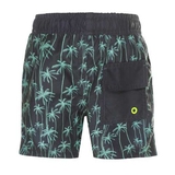  DJ DutchJeans Palm trees grey/mint swimshort