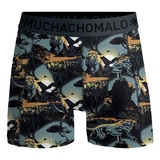 Muchachomalo Lion blue/print boys boxershort