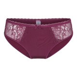 LingaDore Daily Basic port brief