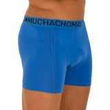 Muchachomalo Light Cotton Solid cobalt boxer short