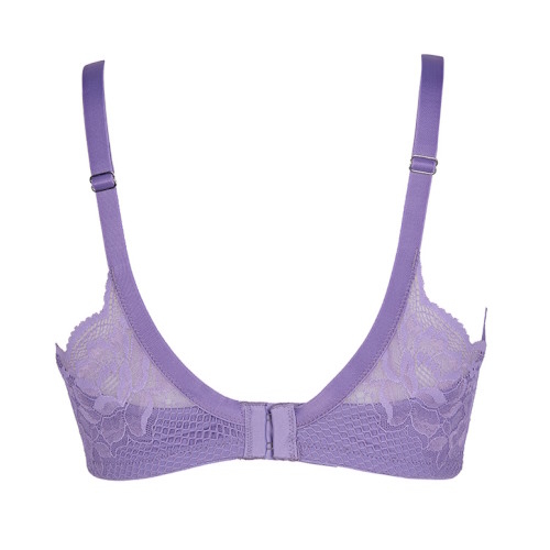 After Eden D-Cup & Up Faro violet padded bra