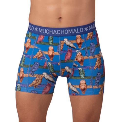 Muchachomalo Owl cobalt boxer short