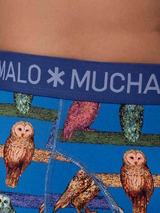 Muchachomalo Owl cobalt boxer short