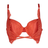 After Eden D-Cup & Up Tessa  padded bra