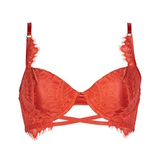 After Eden Tinker  padded bra