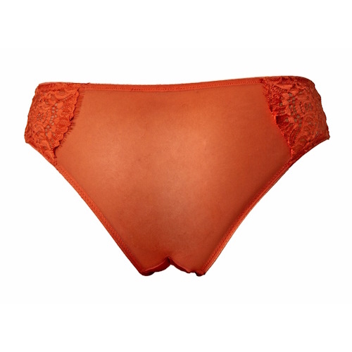 After Eden Tinker  brief