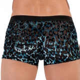 HOM Leopard black/blue sport trunk