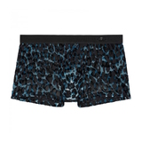 HOM Leopard black/blue sport trunk