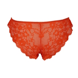 After Eden Daimy orange brazilian